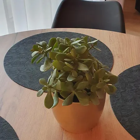 Na Pierniku Apartmán